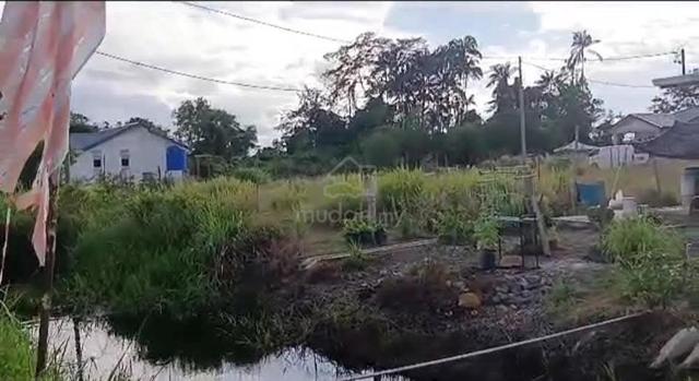 Lot tanah Kg Tajau, Tuaran dekat SMK Sri Nangka dan CKS plaza 2
