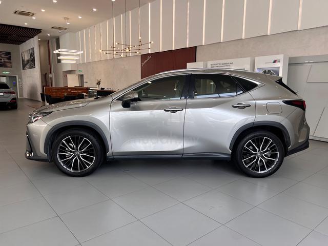 2023 Lexus NX250 2.5 LUXURY (A) - 5