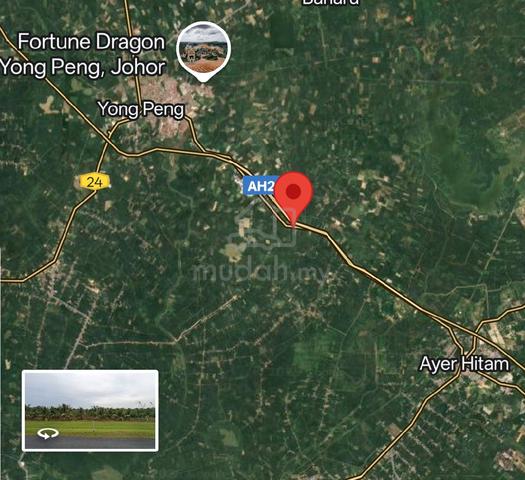 Coconut and chicken farm for sale 1
