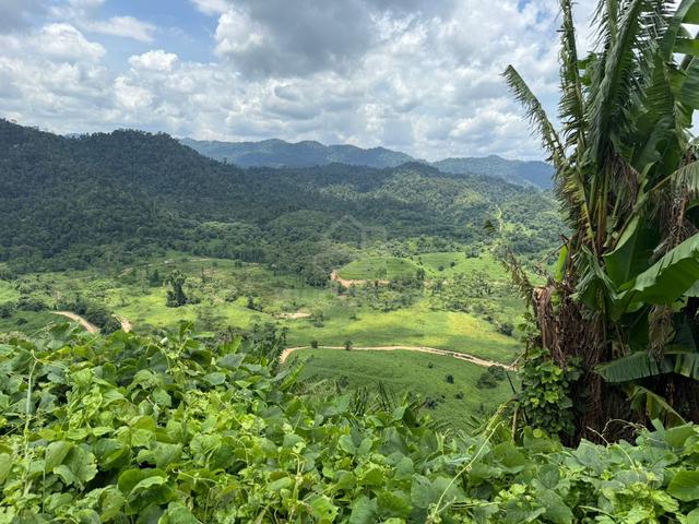 Agriculture land lease low price per month 30 years Jerantut 1