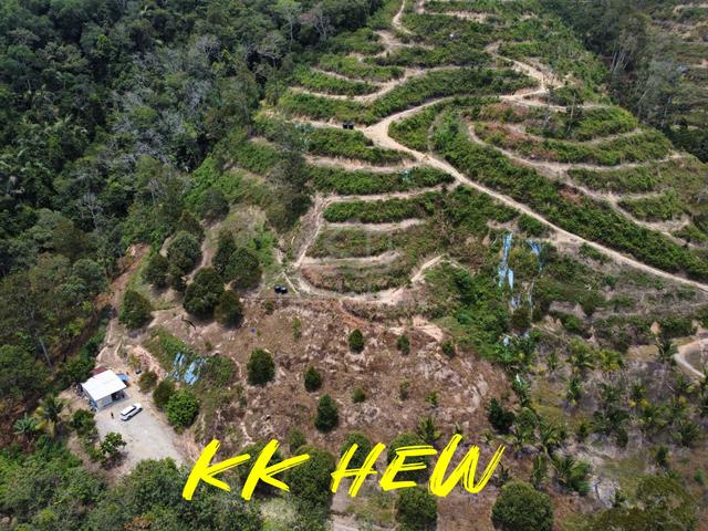 27 Ekar Freehold Agricultural Land with Durian Orchard | Kuala Klawang 1