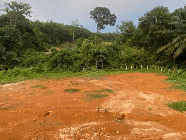 Tanah utk disewakan 1