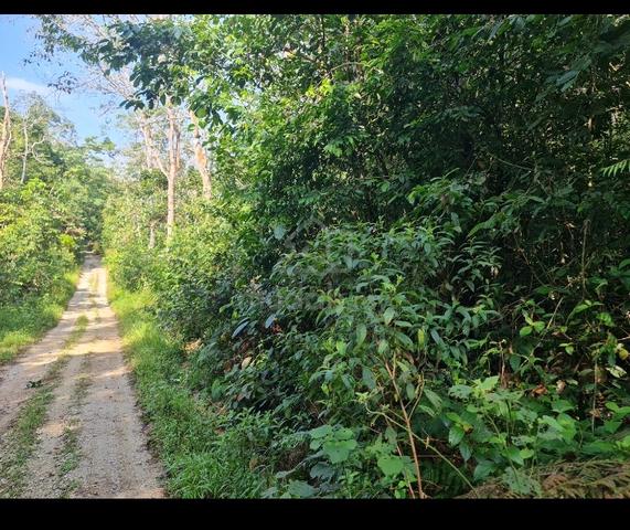 FLAT/FH NON BUMI😊 2.07 ac behind LATEX KPG PAK DOLAH near KMTG TOLL 2