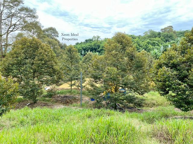 【🔥FREEHOLD】8 Acres Durian Orchard @ Titi, Jelebu, Mukim Glami Lemi 1
