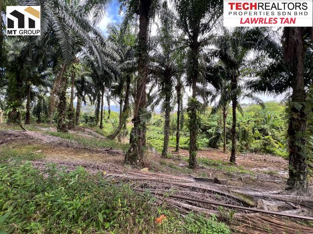 AGRICULTURE LAND | JALAN MUTIARA |Sungai Kod Karangan 1