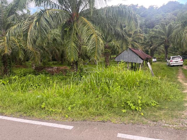 Kudat C.L Land For Sale 1