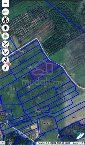 Tanah pertanian 1.4 ekar di Guntong Setiu Terengganu 4