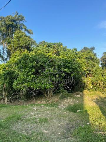 Tanah untuk dijual di Tapang  1