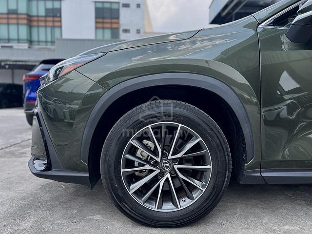 Unreg 2023 Lexus NX250 2.5 Nori Green Pearl Colour - 5