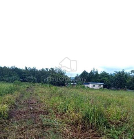 Kg Longob Kota Marudu Tanah di jual. 1