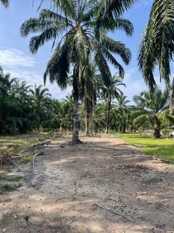 1 Acres Land @ Bagan Serai 1