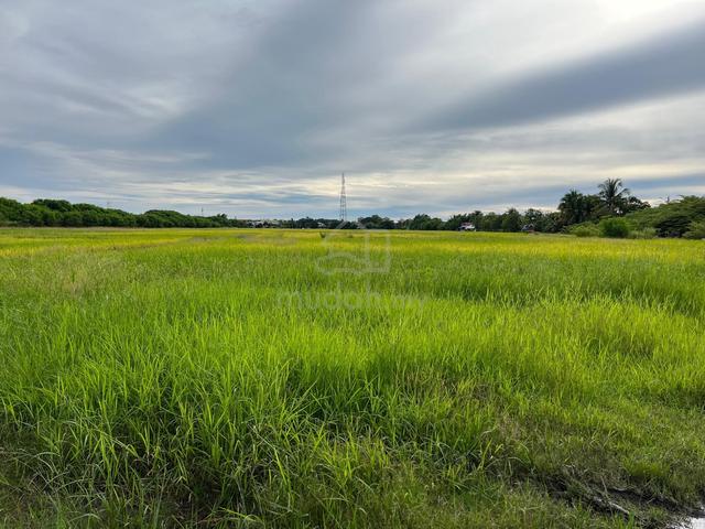 Tanah Pembangunan 6.5 Acres Road Frontage Untuk Dijual Kuala Perlis 1