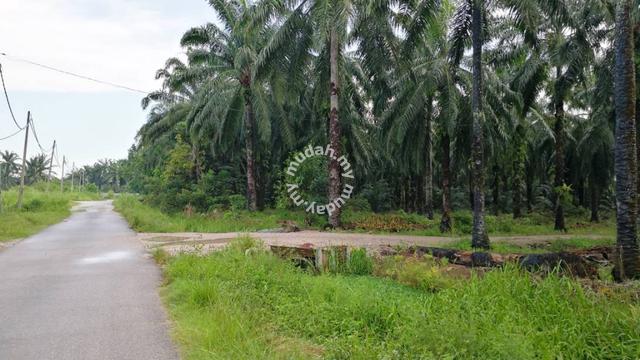 2.5acres Converted Industry Land Bukit Badong Ijok Kuala Selangor 1