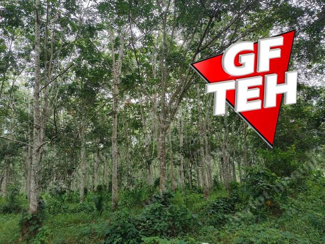 5.03 acres Agricultural Land | Sauk | Perak | For Sale 3.90psf k 1