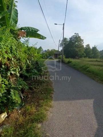 kebun half acre 1