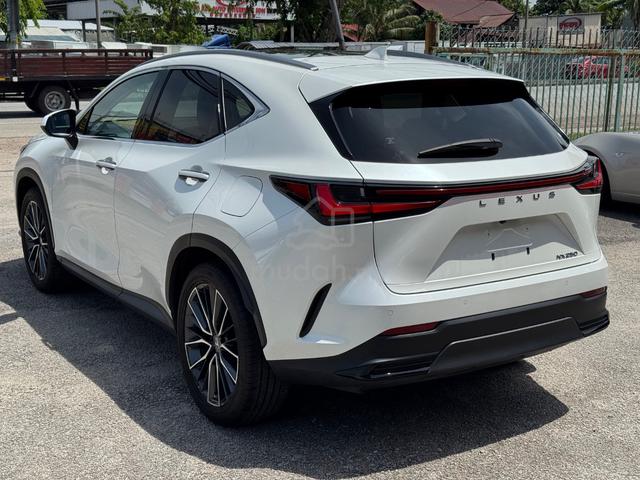 2023 Lexus NX 250 2.5 STANDARD(A)PRoof,BlkSeat,360 - 5