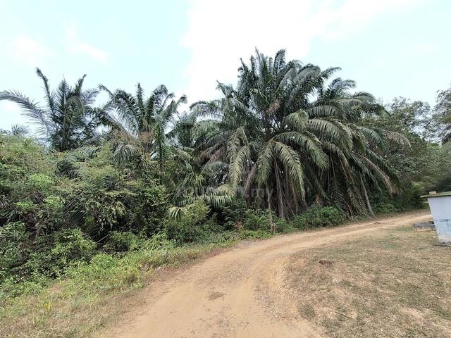 5.69 ekar utk dijual 1