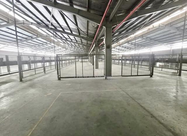 Limited Detached Factory Semenyih High Power 4000AMP & Cargo Lift 1