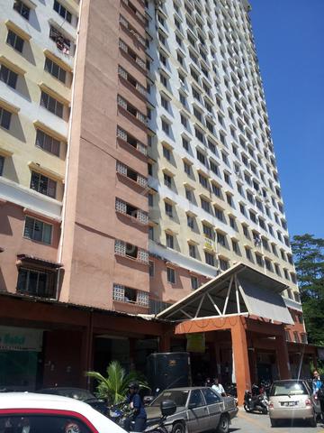 Flora Damansara 1