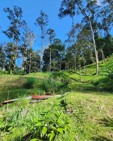 3 EKAR Kebun Buah di Hulu Langat, Selangor 3