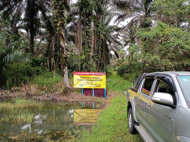 Tanah Sawit Tua untuk dijual 1