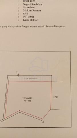 Land For Sale 1
