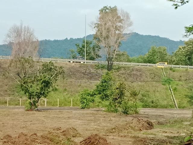 Tanah Tampin untuk Disewa 1