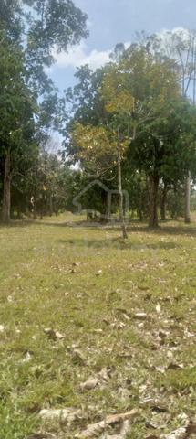 Tanah untuk dijual di Sungei Rambai (Berhadapan Masjid Al-Hasanah) 1