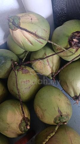 Coconut Pandan - photo 6 of 6