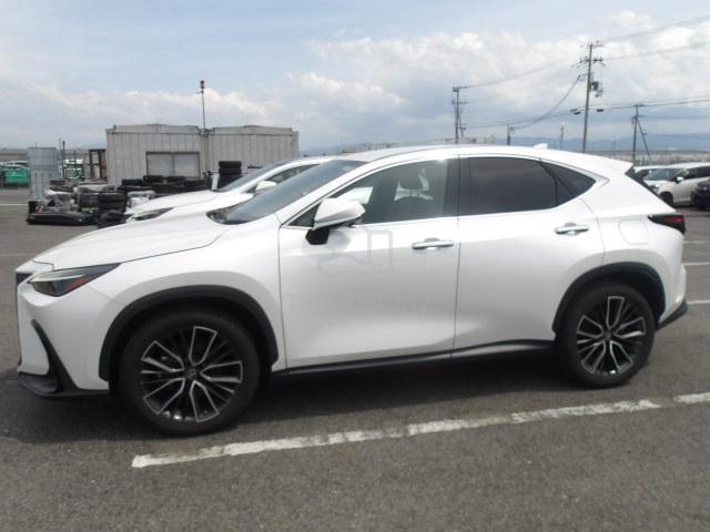 2022 Lexus NX 250 2.5 LUXURY (A) - 4