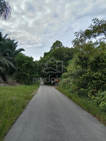 Tanah dekat Sg Miang Kg Kalong Pekan Kuantan 1