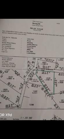 Tanah Kelapa Sawit Untuk di Jual 1