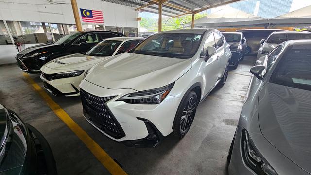 2023 Lexus NX250 2.5 Version L 4.5 GRADE 28k km - 2