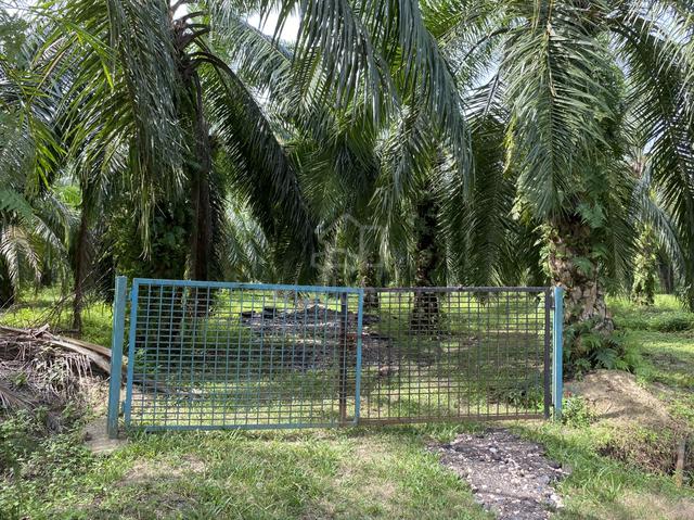 ‼️Tanah utk dijual‼️100m tepi highway WCE Teluk Intan-Sitiawan‼️ 1