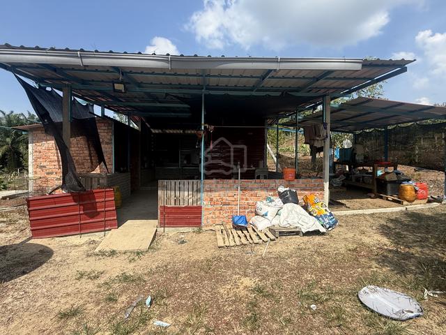 Durian Farm for sell 1