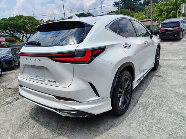 2023 Lexus NX 250 2.5 Version L P/R Modellista Kit - 4