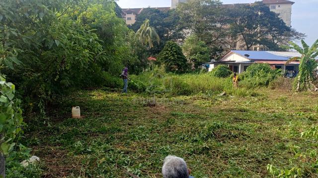 lot land for rent 1