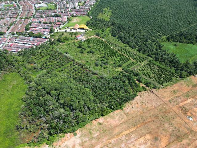 Kuala Ketil Agricultural Land Title , Zoning Residential For Sale 1