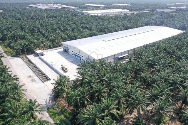 FREEHOLD 5 acres Detach Factory Telok Mengkuang Telok Panglima Garang 1