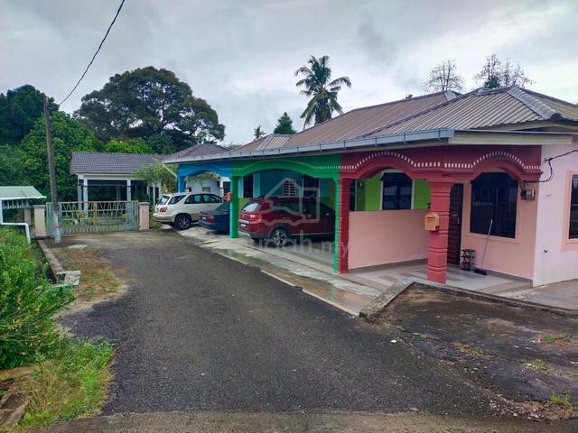 Rumah Untuk Disewa (Rumah Hijau colour) 1