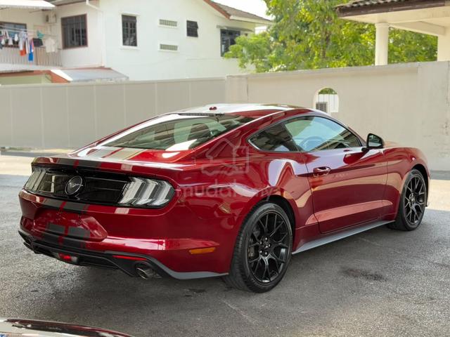 2019 Ford Mustang 2.3T EcoBoost Fastback Facelift - 4