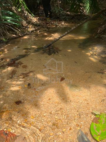 Glamping Land for Lease – Near Gunung Datuk, Kampung Miku Lama, Rembau 3