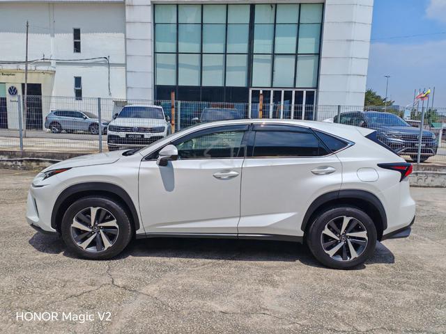 2019 Lexus NX300 2.0 with 360 CAMS PANORAMIC ROOF - 5
