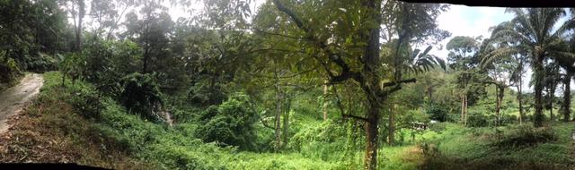 Sale FREEHOLD Agriculture Land @ Gopeng Ipoh Perak 1