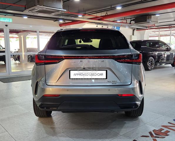2023 Lexus NX250 Luxury - 4