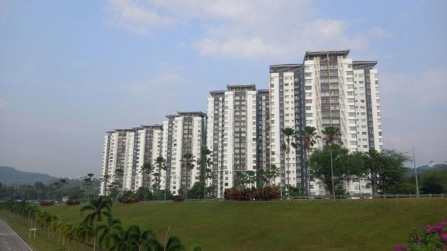 PPA1M Selasih 1
