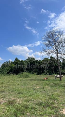 Tanah lot untuk dijual..berkeluasan 6700kp 1