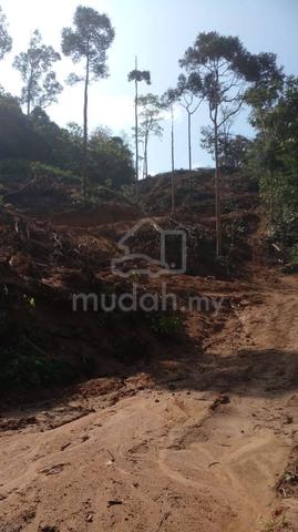 Tanah 2 Ekar ada Air Bukit & Pokok Durian 2