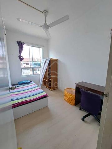 single room at jelutong 1