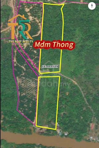 Agriculture land | 14.8 acres | for sale 1